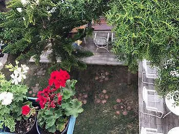 No Onbir 2* Αλακάτι